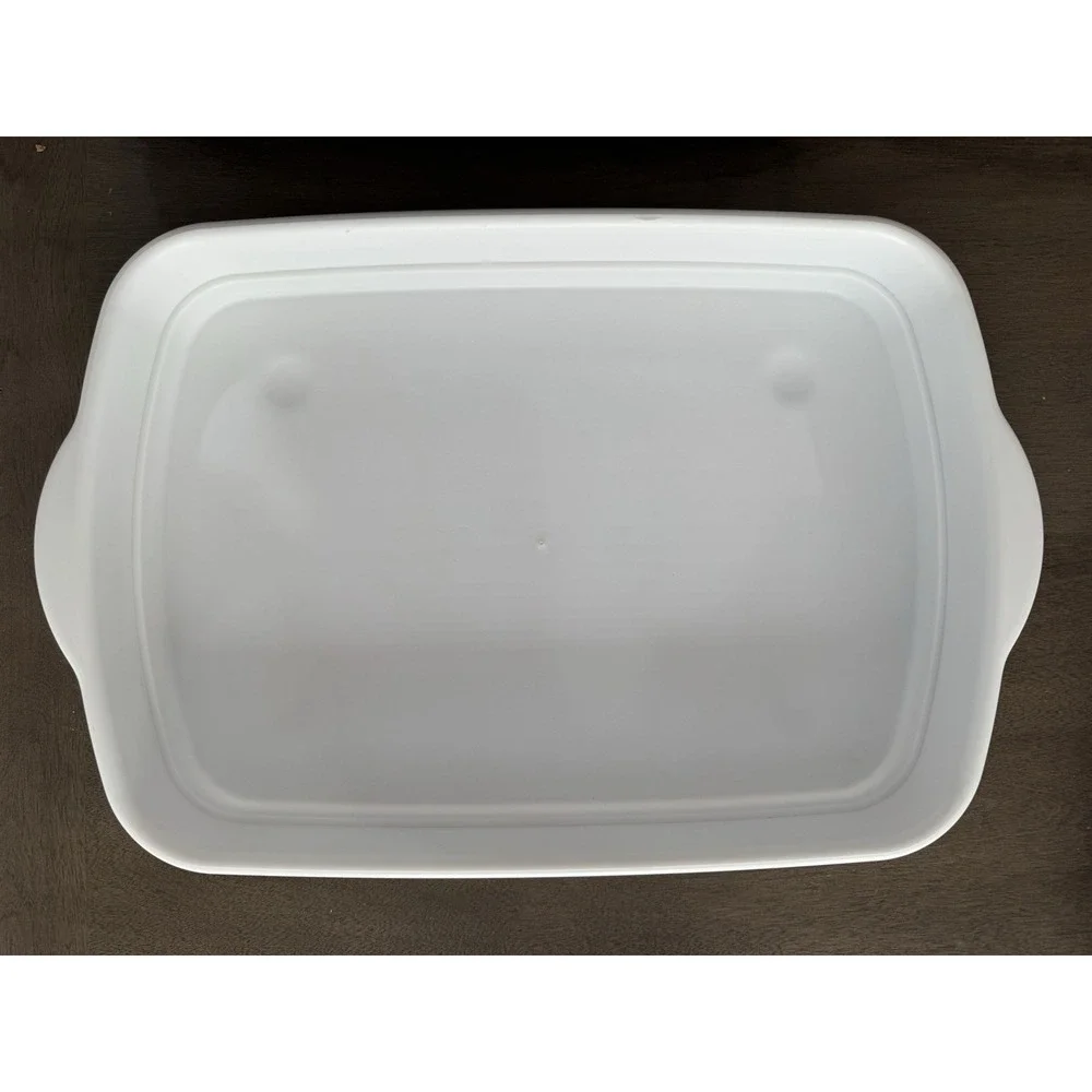 Pampered Chef Chillzanne Rectangle Server with Lid 2781 Deviled Egg /Veggie Tray